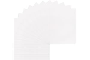 WANDIC 20 Blatt Blumenpresse, Papier, Zubehör für professionelle Blumenpresse, saugfähig, Ersatz, für Bastelarbeiten, zum Lernen im Freien