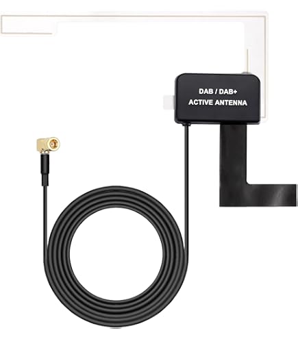 Bingfu Adattatore Per Antenna Autoradio DAB Adattatore SMB Femmina A