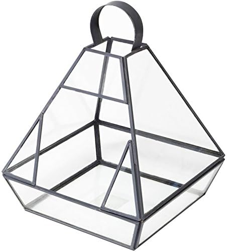 23cm Lead Terrarium Planter - Decorative House / Office Indoor Lightweight Glass