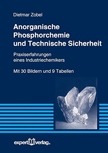 Preisvergleich Produktbild Anorganische Phosphorchemie und Technische Sicherheit: Praxiserfahrungen eines Industriechemikers (Reihe Technik)