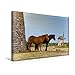 Produktbild Calvendo Premium Textil-Leinwand 45 cm x 30 cm Quer, Gotland, Pferde im Wind | Wandbild, Bild auf Keilrahmen, Fertigbild auf Echter Leinwand, Leinwanddruck: Gotland, Schweden Orte Orte