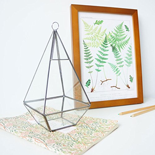 Generic Modern Design Glas Terrarium Geometrisches Sukkulente Pflanzen Deko – Rautenförmig – 12 * 12 * 24,5 cm - 3