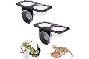 CiCixixi 2 Pezzi Contenitore per Alimenti per Rettili Pescare Kit Mangiatoia per Gechi Tazze di Cibo Geco Crestato Cucchiai Lampada per Animali Domestici Lampada Termica per Rettili Pinza