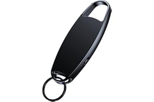 Vandlion Grabadora de Voz, Grabadora Activada por Voz con Carcasa Metálica, USB C Grabadora Digital para Reuniones Entrevistas Conferencias Clase