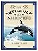 Das Riesenbuch der Meerestiere | Wissen, lesen, staunen | Für Tier Fans ab 6 Jahren by Tom Jackson