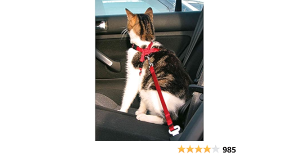 Trixie Harnais Pour Voiture Pour Chat Rouge 50 Cm 15 Mm Amazon Fr Animalerie