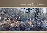 Image de Wild Kalender 2018: WILD UND HUND