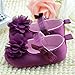 DEHANG Baby Girls Toddlers Purple Flower Non-slip Soft Sole Crib Indoor Shoes Purple 9-12 Month