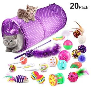 Yosemy Juguetes para Gatos Interactivos, Mascota Gato Captura Juguetes De Entrenamiento, 20 Piezas
