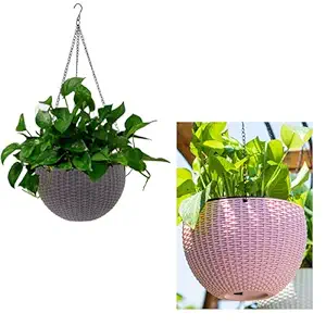Antier (Brown and Pink) 2 pcs Round Plastic Resin Chain Basket Hanging Planter Hanging Flowers and Plants,Growers