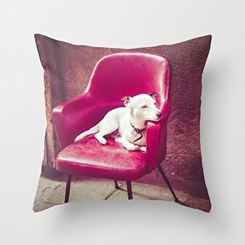 Pillow Cases Of Dogs 20 X 20 Inches / 50 By 50 Cm Best Fit For Dining Room Chair Couples Son Lounge Car Seat Each Side