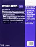 Image de Embriología Humana Y Biología Del Desarrollo - 5ª Edición (+ StudentConsult)