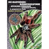 Die Martinique-Baumvogelspinne: Avicularia versicolor (Art für Art: Terraristik)