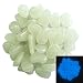 Produktbild 100 Blau Floureszierende Pebbles Stein für Aquarium Kies Dekorationen, Fantastische Garten oder Hof-Gehweg