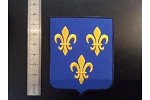 BLUE HAWAI ECUSSON Patches AUFNAHER Toppa - Blason REGION ILE DE France - THERMOCOLLANT