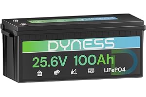Dyness Batteria al Litio LiFePO4 24V 100Ah con 100A BMS, Batteria Accumulo Fotovoltaico 20.48 kWh(Max.8 Batterie), Motore Elettrico per Pescherecci Elettrici, Camper, Pannelli Solari