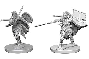 WizKids Pathfinder: Deep Cuts Unpainted Miniatures: Human Female Paladin