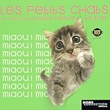 Les petits chats