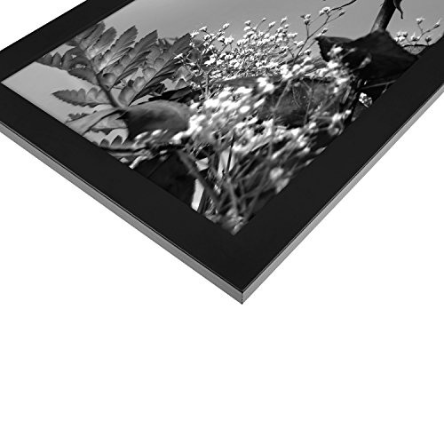 A4 (210x297mm) Schwarzer Bilderrahmen mit Glasfront – Geeignet für Bilder mit Abmessungen von 21×29 - 5