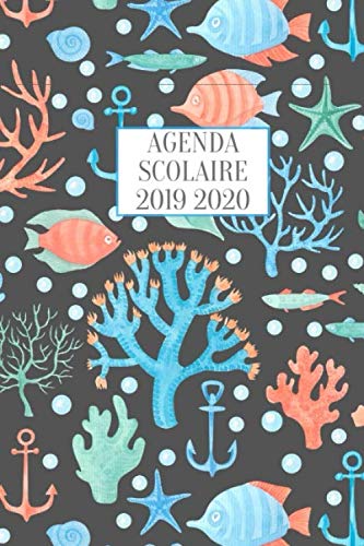 Télécharger AGENDA SCOLAIRE 2019 2020: Agenda Etudiant septembre 2019 à décembre 2020 I Agenda semainier 2019/ Livre PDF Gratuit
