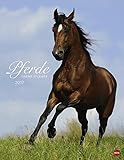 Image de Pferde Classics - Kalender 2017