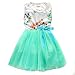 Zhuannian Baby Girls Sleeveless Flower Tulle Dress (9-12months, Green)
