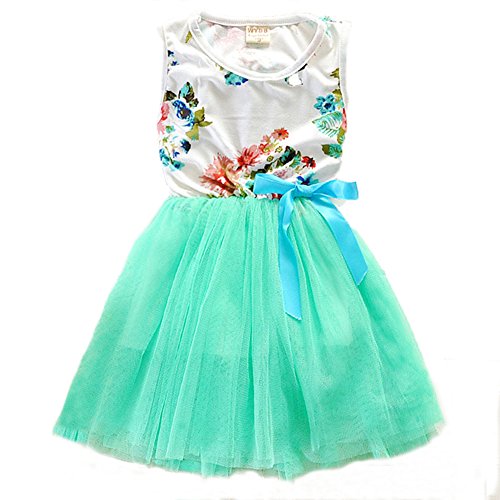 Zhuannian Baby Girls Sleeveless Flower Tulle Dress (9-12months, Green)