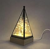 Die Form der Lampe ist 100 x 100 x 220 mm, der Boden ist quadratisch, der Rand ist 100 mm, die Höhe der Lampe ist 220 mm, die Form ist klein und raffiniert.