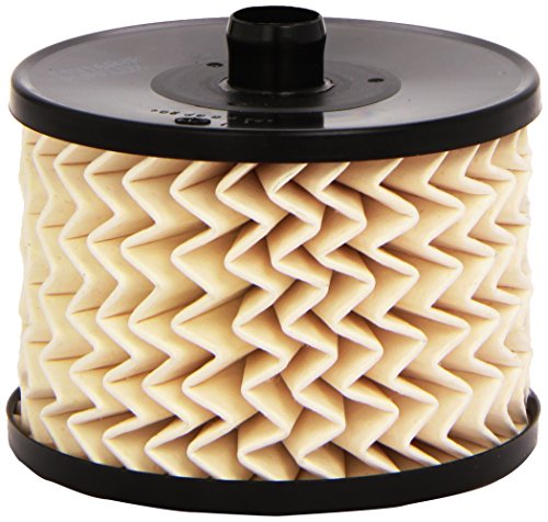 Purflux C489 Inyección de Combustible