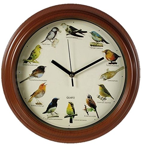 Out of the blue 79-3151 - Orologio da parete in plastica con i suoni di uccelli, diametro 33 cm, multicolour, plastica;vetro, tondo