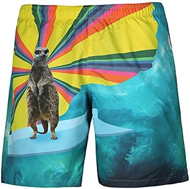 Fashion Personality Animal Swimming Trunks 3D Printing Beach Pants Pants Men Relaxed Casual Size Shorts
