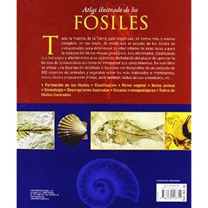 Atlas Ilustrado De Los Fosiles