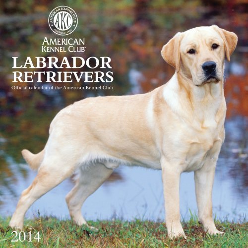 2014 Labrador Retrievers - American Kennel Club Wall by Zebra Publishing Corp. (2013-07-30)