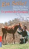 1. Le poulain des Garrigues
