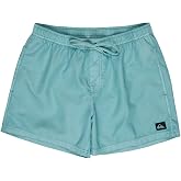 Quiksilver Everyday Surfwash Volley 15s&ouml;rf şortuErkek