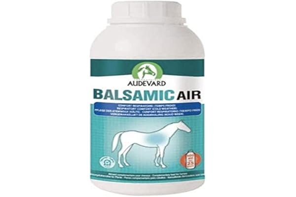Audevard BALSAMIC AIR 500ML (NDR)
