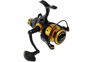 PENN Spinfisher VI Long cast moulinet spinning long cast, pour la pêche en mer en Surcasting, pêche du bord, long lancer, depuis la plage, poisson plat, bar