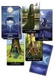 Silver Witchcraft tarot (Tarocchi)