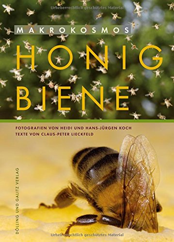Download Makrokosmos Honigbiene Download Makrokosmos Honigbiene