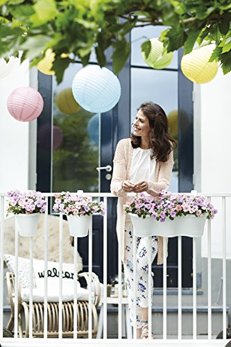 elho Corsica Easy Hanger Geländertopf Single – Kirsche - 2