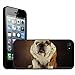 Price comparison product image Fancy A Snuggle Bull Dog Sitting On Carpet Clip On Back Cover Hard Case for Apple iPhone 5