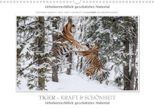 Emotionale Momente: Tiger - Kraft & Schönheit. (Wandkalender 2014 DIN A3 quer): Ingo Gerlach GDT hat die schönsten Bilder vom Tiger für diesen Kalender zusammengestellt. (Monatskalender, 14 Seiten)