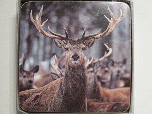 6 tlg Set Untersetzer - 9 x 9 cm (Hirsch)