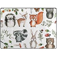 Suchergebnis Auf Amazon De Fur Fuchs 50 100 Eur Teppiche