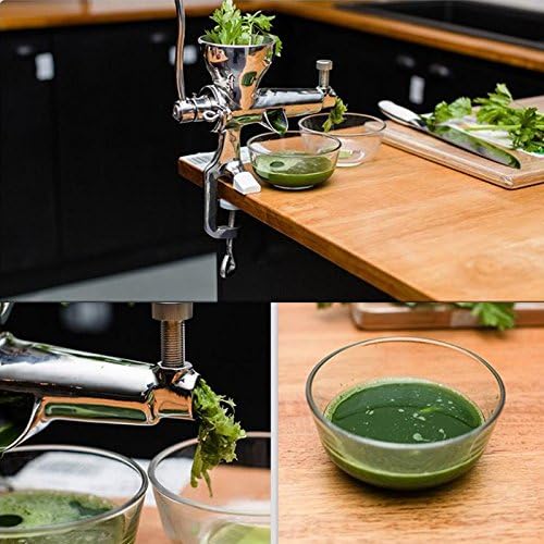 ZHJ Stainless Steel Hand Wheatgrass Juicer Machine manual Auger Slow Juice Ideal for Fruit Vegetables orange juice extractor