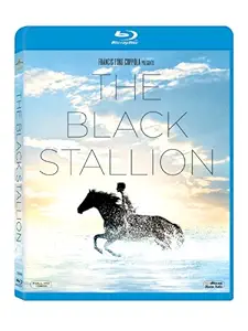 The Black Stallion (Blu-ray)