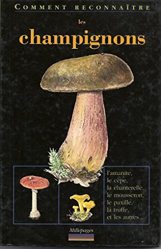 Les  champignons (dès 8 ans)