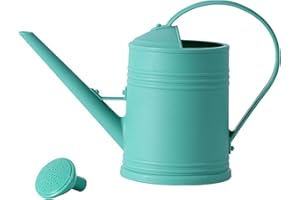 Youning - Arrosoir de jardin de 2 L en plastique - Petite arrosoir - Arrosoir pour plantes d'intérieur et fleurs - Arrosoir avec pomme amovible - Arrosoir en plastique pour l'intérieur et l'extérieur