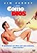 Como Dios [DVD]