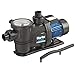 Produktbild CLARKE 750 Watt 1 HP Selbstansaugend, SWIMMING POOL, 230 volt